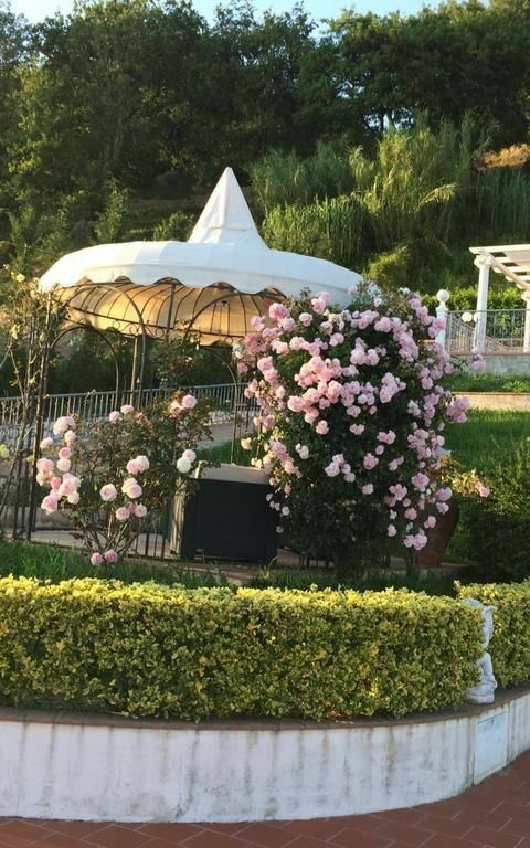 Villa Sophia: Jardin