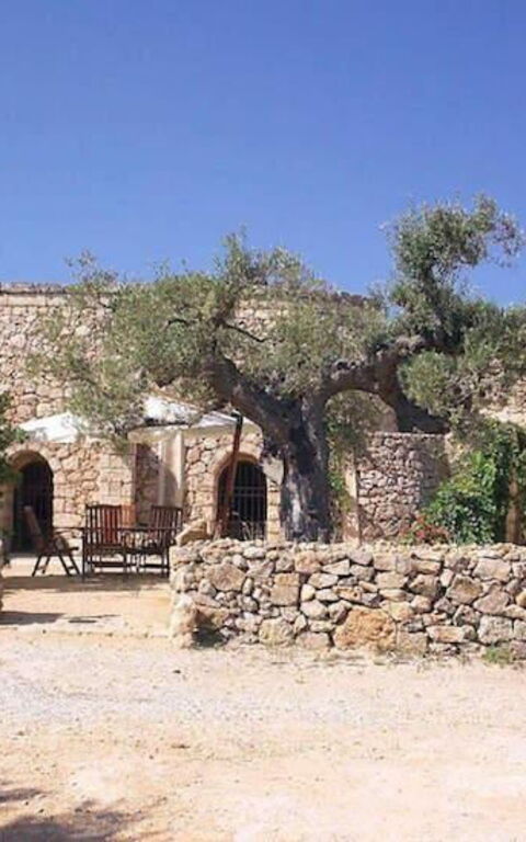 Tia Trullo: Extérieur, Jardin