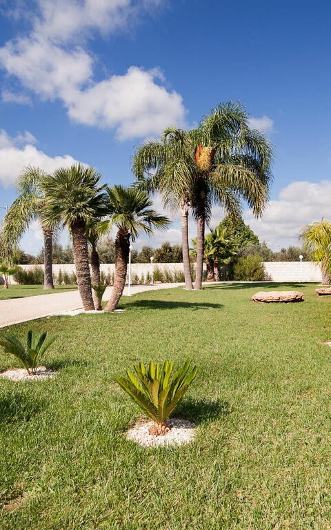 Meadow Luxury Villa: Extérieur, Jardin