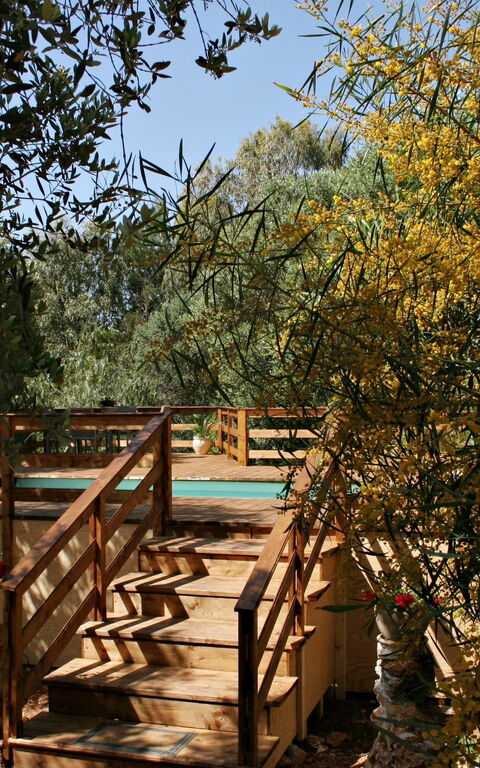 Villa Serena Maria: Extérieur, Jardin