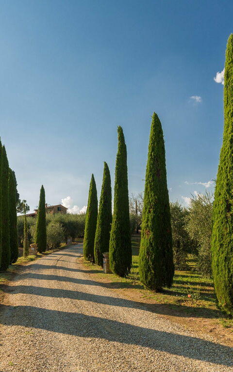 Villa Poggiospinoso: Vues