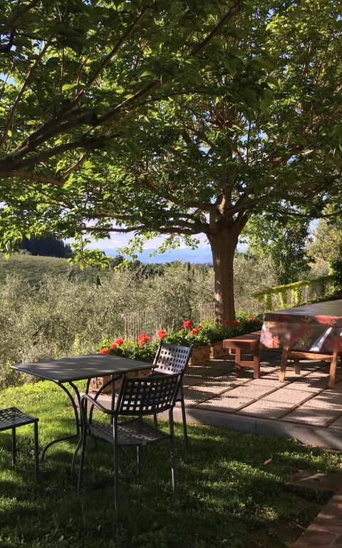 Tenuta Cambiano: Agréments, Extérieur, Jardin