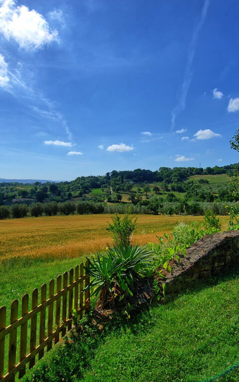 Villa Sarteano: Jardin