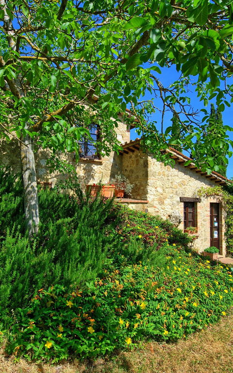 Villa Sarteano: Jardin