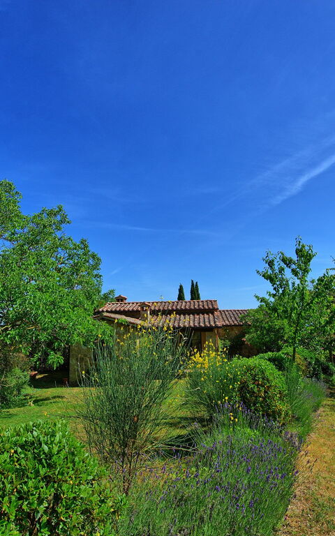 Villa Sarteano: Jardin