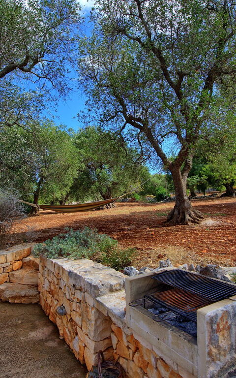 Trullo Pascarosa: Jardin