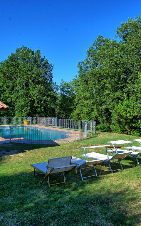 Villa Mario: bassin, Extérieur, Extérieurs, Jardin