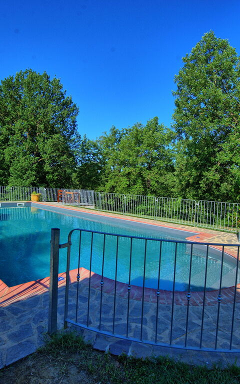 Villa Mario: bassin, Extérieur, Extérieurs, Jardin