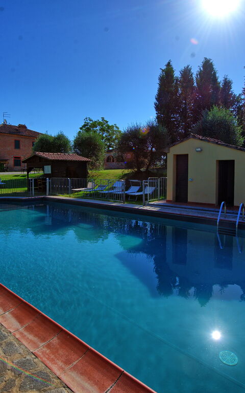 Villa Mario: bassin, Extérieur, Extérieurs, Jardin