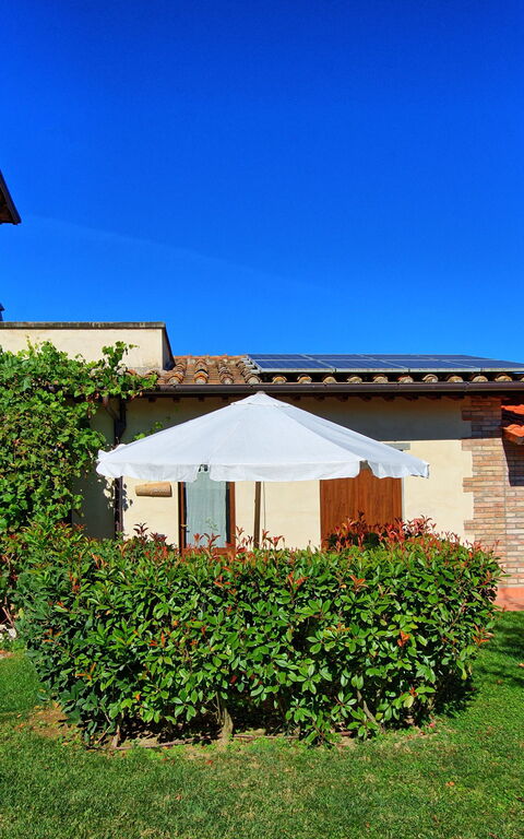 Casale Tiziano: Jardin