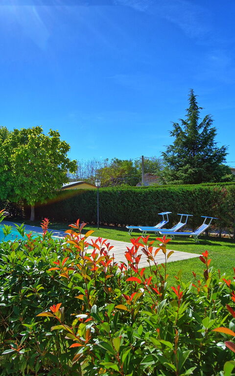 Casale Tiziano: bassin, Jardin