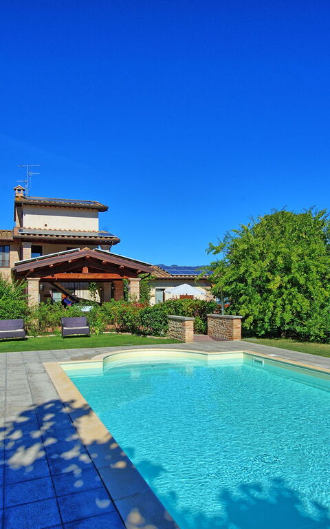 Casale Tiziano: bassin, Jardin