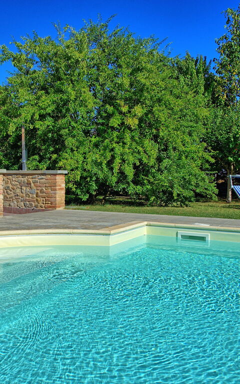 Casale Tiziano: bassin, Jardin