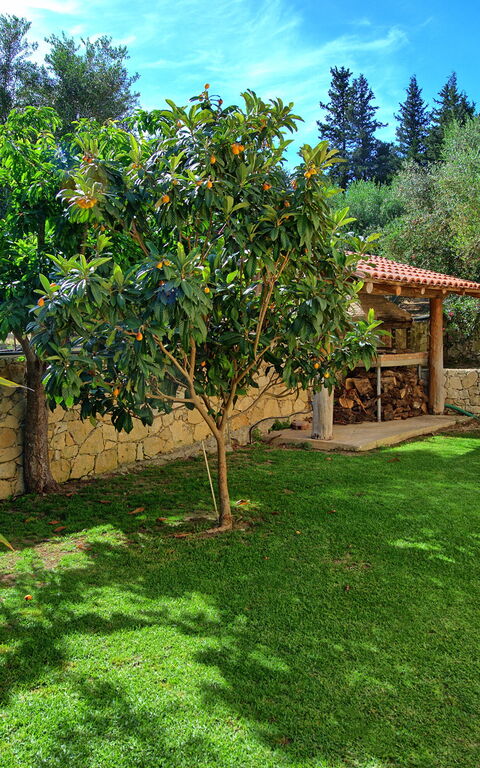 Villa Vrisses: Extérieur, Jardin