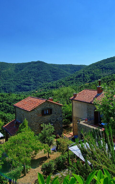 Borgo Veronica: Jardin