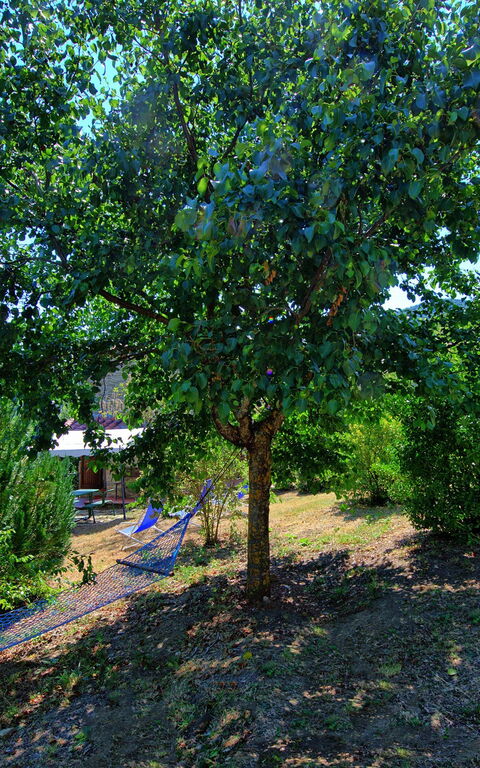 Borgo Veronica: Jardin