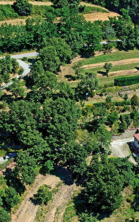 Borgo Veronica: Vues