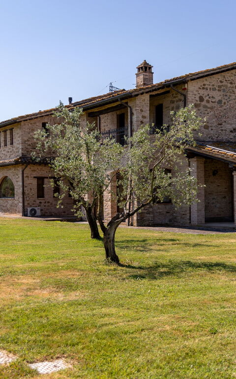 Villa Assisi: Extérieur, Extérieurs, Jardin