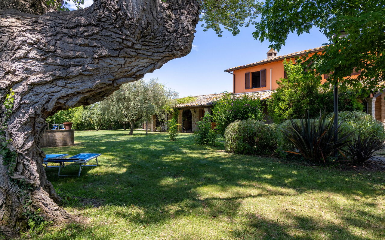 Villa Reale: Extérieur, Extérieurs, Jardin