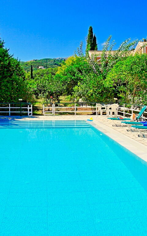 Beach Villa Nancy: bassin, Jardin