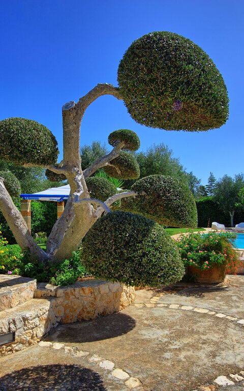 Lamia Santo Arcangelo: Jardin