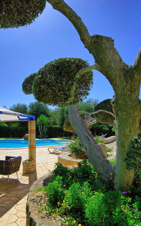 Lamia Santo Arcangelo: bassin, Extérieurs, Jardin