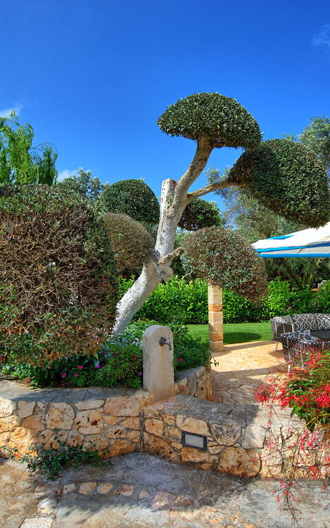 Lamia Santo Arcangelo: Extérieur, Jardin