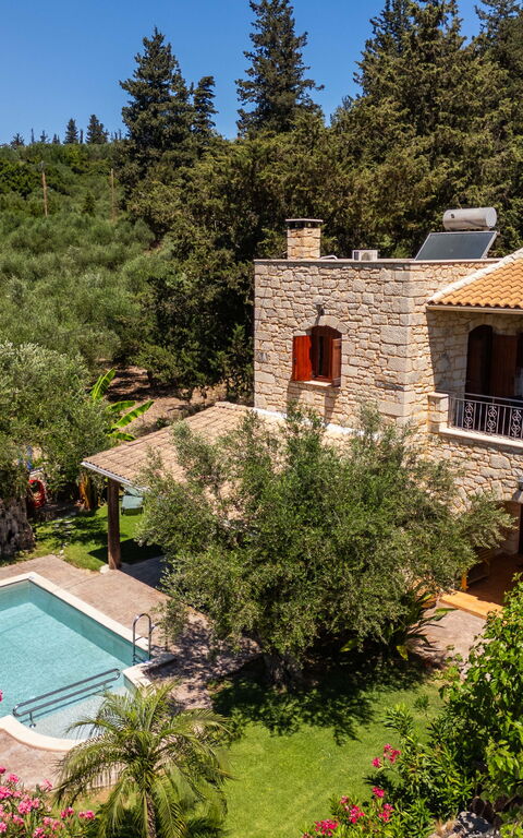 Villa Nipos: bassin, Extérieur, Jardin