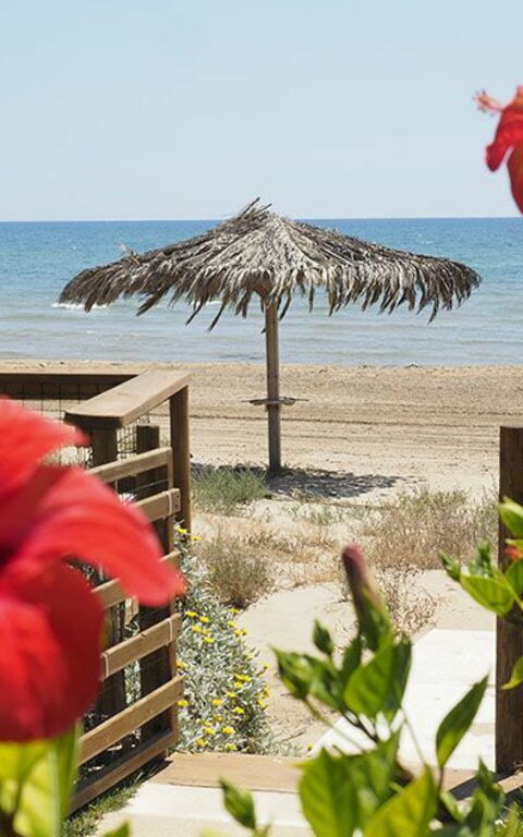 Villa Ariel: Extérieur