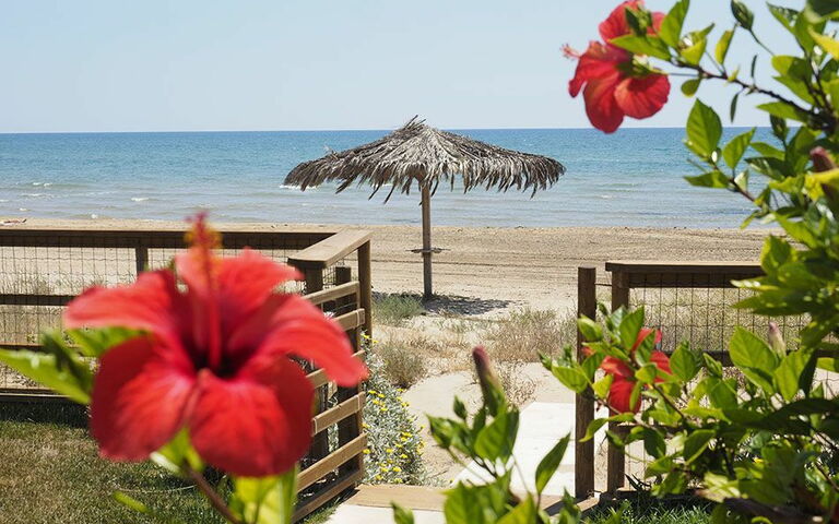 Villa Ariel: Extérieur