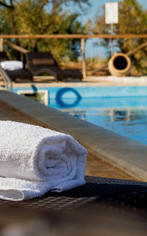 Villa Le Muse: bassin