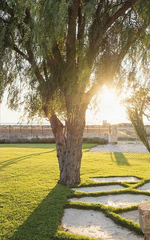 Villa Salinella: Jardin