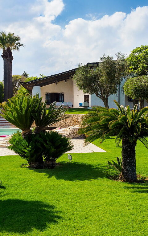 Blu Moon: bassin, Extérieur, Extérieurs, Jardin