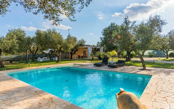 Villa Safiria: bassin