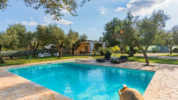 Villa Safiria: bassin