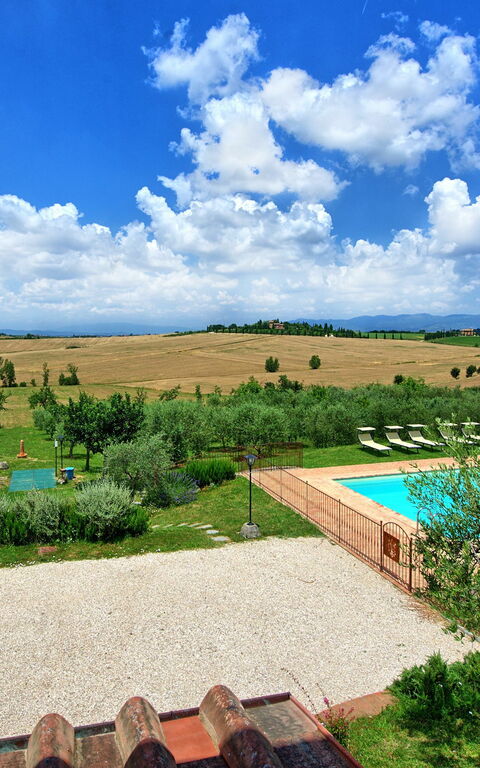 Villa Farneta: bassin, Jardin