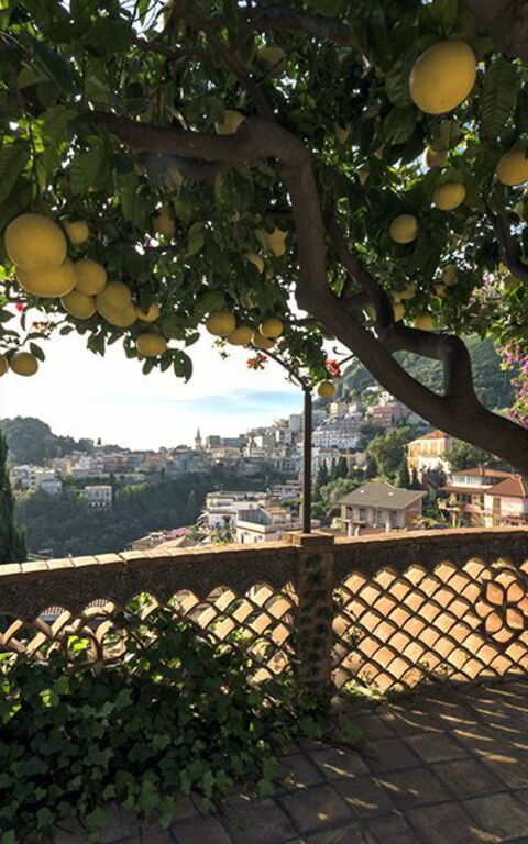 Villa La Boheme: Jardin, Vues