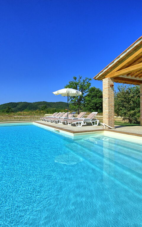 Villa Giacomo: bassin