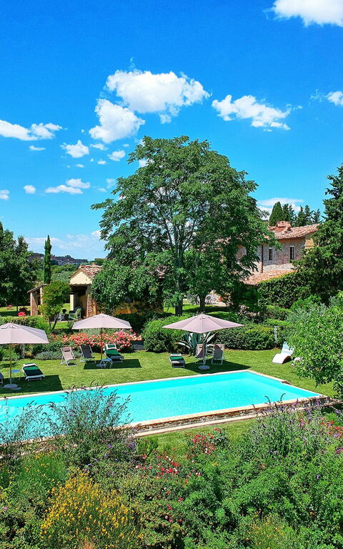 Villa Sonia: bassin