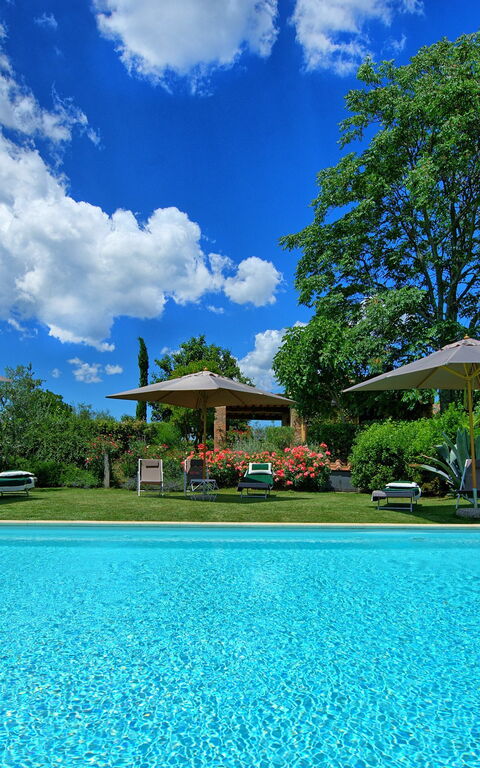 Villa Sonia: bassin
