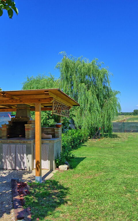 Casa Violina: Balcon / Terrasse / Patio, Jardin