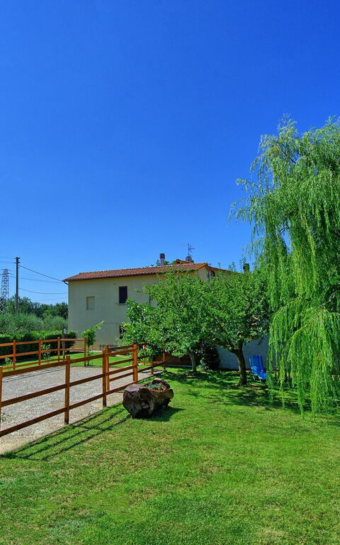 Casa Violina: Jardin