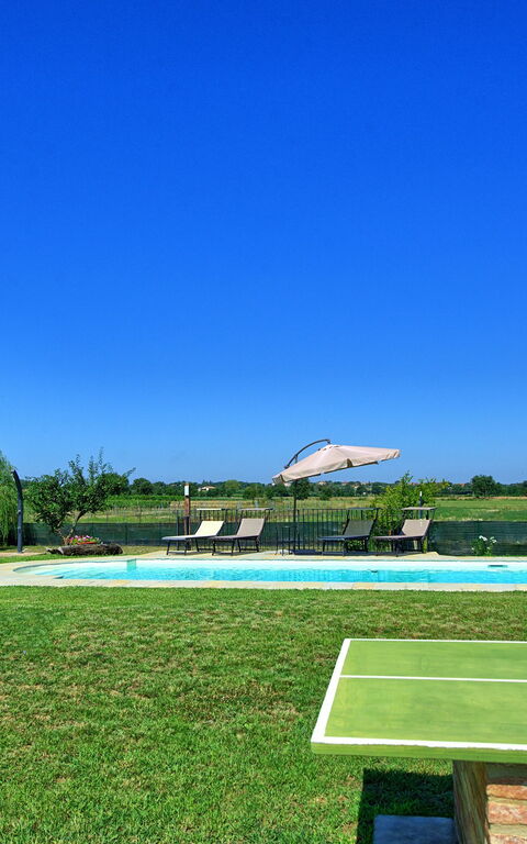 Casa Violina: bassin, Jardin