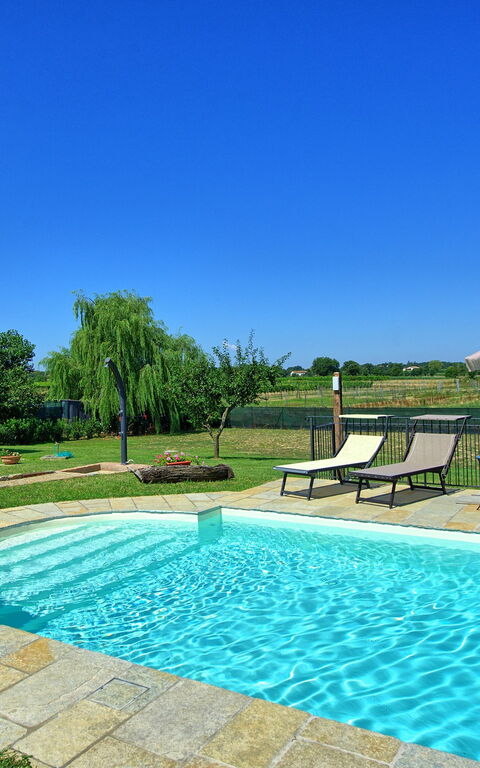 Casa Violina: bassin, Jardin