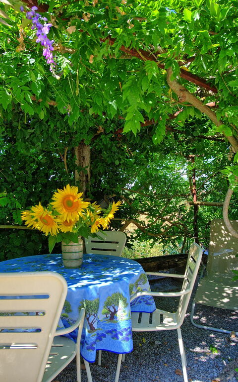 Casa Violina: Jardin