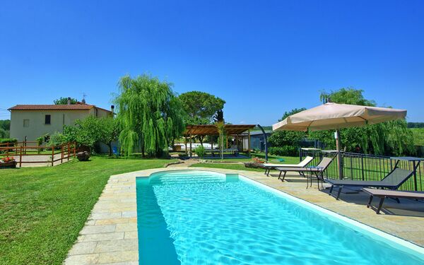 Casa Violina: bassin, Jardin