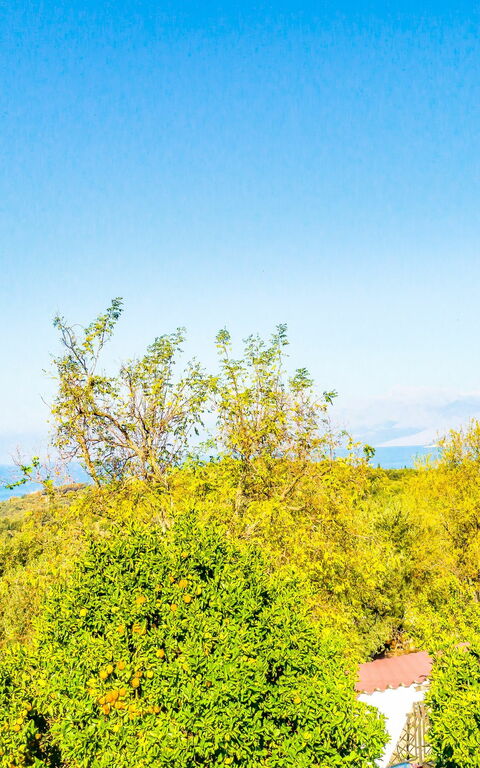 Villa Giador: Extérieur, Vues