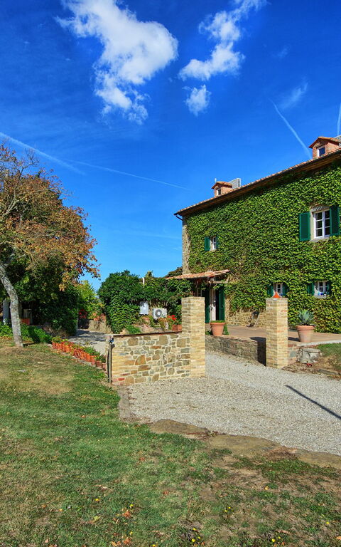 Villa Edo: Extérieur, Extérieurs, Jardin
