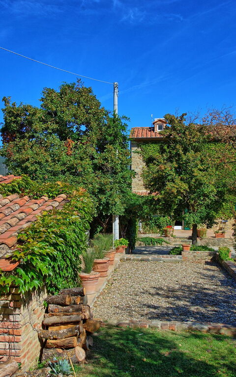 Villa Edo: Jardin