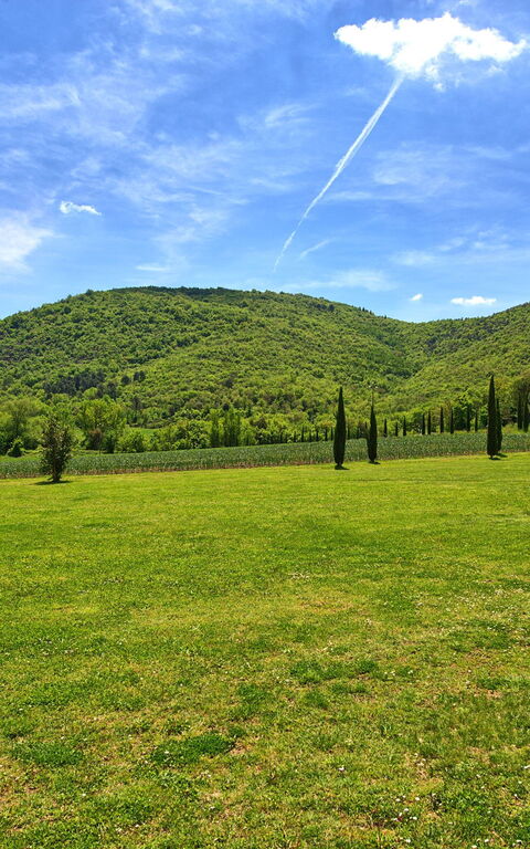 Villa Edo: Extérieur, Jardin